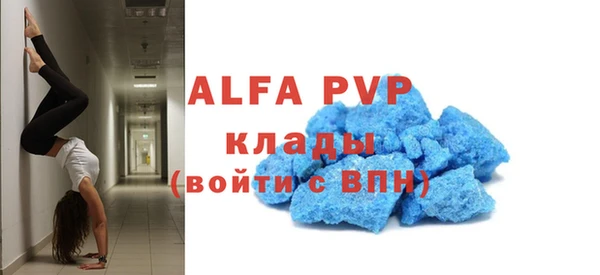 apvp Богородицк